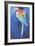 Red and Blue Macaw, 2002-Odile Kidd-Framed Giclee Print
