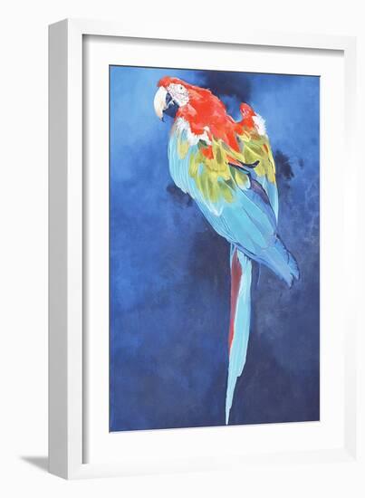 Red and Blue Macaw, 2002-Odile Kidd-Framed Giclee Print