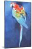 Red and Blue Macaw, 2002-Odile Kidd-Mounted Giclee Print