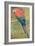 Red and Blue Macaw (W/C Heightened with White on Paper)-Henry Stacey Marks-Framed Giclee Print