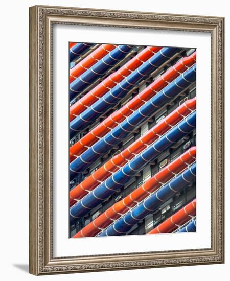 Red and Blue-Adrian Campfield-Framed Photographic Print