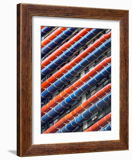 Red and Blue-Adrian Campfield-Framed Photographic Print