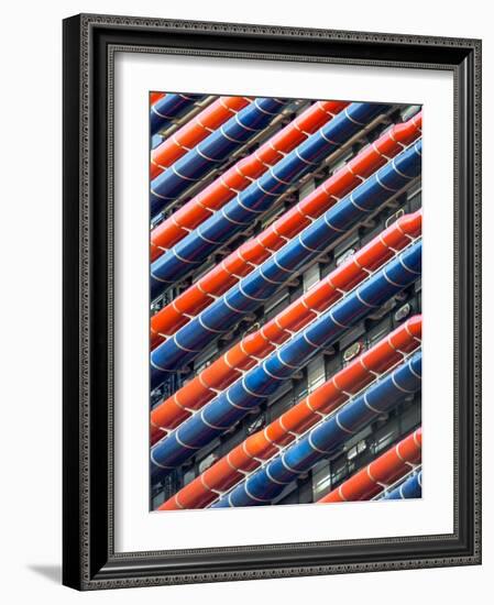 Red and Blue-Adrian Campfield-Framed Photographic Print