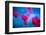 Red and blue-Marco Carmassi-Framed Photographic Print