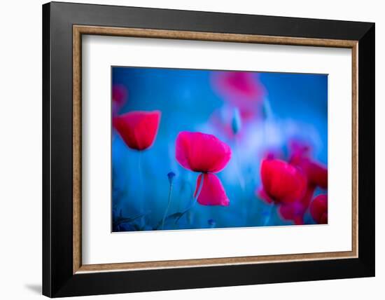 Red and blue-Marco Carmassi-Framed Photographic Print