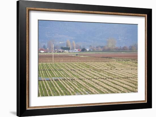 Red and Gold Fields I-Dana Styber-Framed Photographic Print