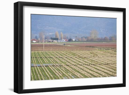 Red and Gold Fields I-Dana Styber-Framed Photographic Print