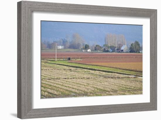 Red and Gold Fields II-Dana Styber-Framed Photographic Print