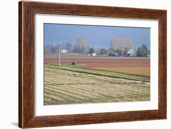 Red and Gold Fields II-Dana Styber-Framed Photographic Print