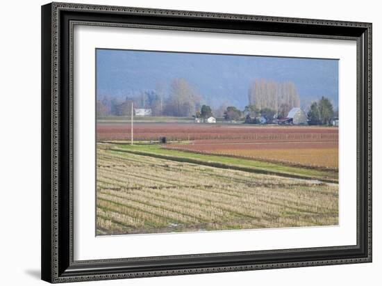 Red and Gold Fields II-Dana Styber-Framed Photographic Print