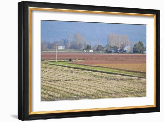 Red and Gold Fields II-Dana Styber-Framed Photographic Print