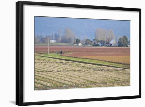 Red and Gold Fields II-Dana Styber-Framed Photographic Print