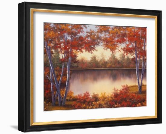 Red and Gold-Diane Romanello-Framed Art Print