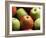 Red and Green Apples-Roy Rainford-Framed Photographic Print