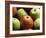 Red and Green Apples-Roy Rainford-Framed Photographic Print