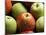 Red and Green Apples-Roy Rainford-Mounted Photographic Print