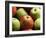 Red and Green Apples-Roy Rainford-Framed Photographic Print