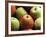 Red and Green Apples-Roy Rainford-Framed Photographic Print