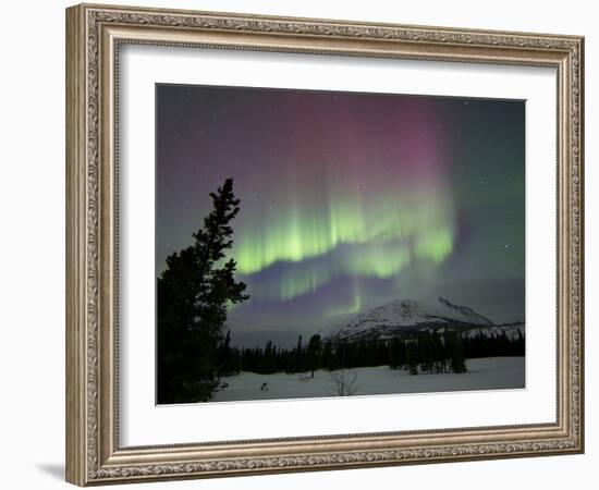 Red And Green Aurora Borealis Over Carcross Dessert, Carcross, Yukon, Canada-Stocktrek Images-Framed Photographic Print