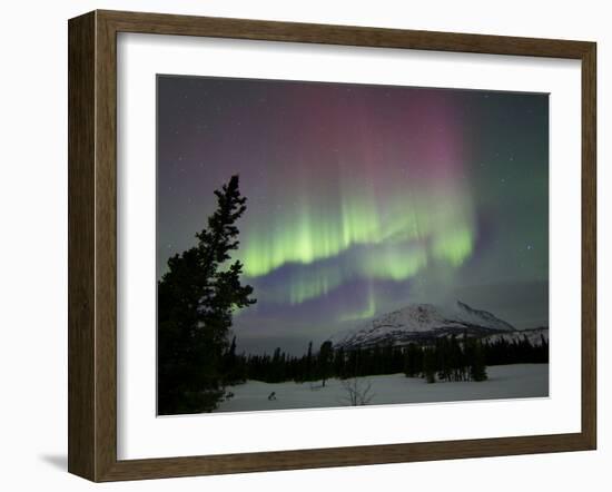 Red And Green Aurora Borealis Over Carcross Dessert, Carcross, Yukon, Canada-Stocktrek Images-Framed Photographic Print