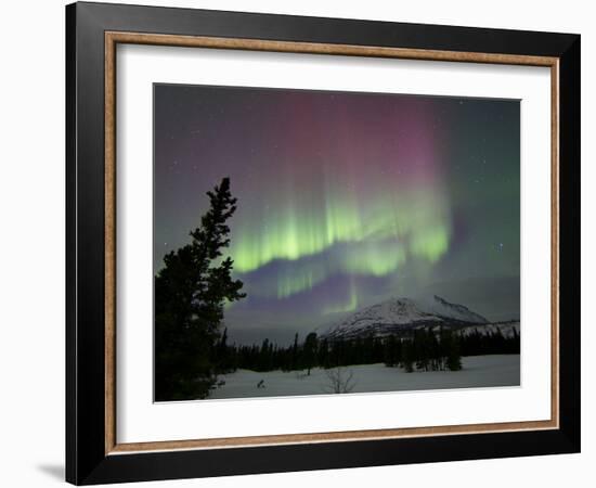 Red And Green Aurora Borealis Over Carcross Dessert, Carcross, Yukon, Canada-Stocktrek Images-Framed Photographic Print