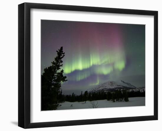 Red And Green Aurora Borealis Over Carcross Dessert, Carcross, Yukon, Canada-Stocktrek Images-Framed Photographic Print