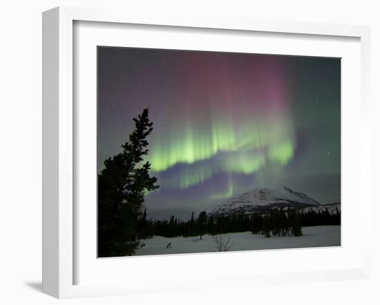 Red And Green Aurora Borealis Over Carcross Dessert, Carcross, Yukon, Canada-Stocktrek Images-Framed Photographic Print