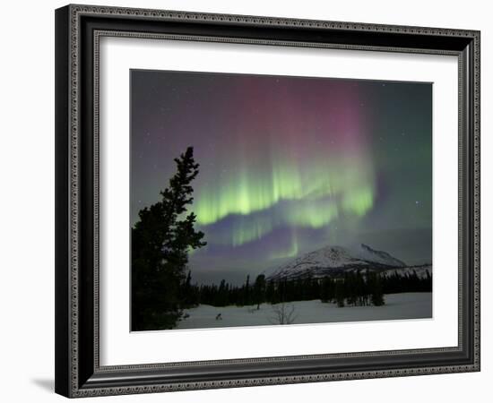 Red And Green Aurora Borealis Over Carcross Dessert, Carcross, Yukon, Canada-Stocktrek Images-Framed Photographic Print