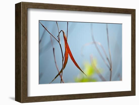 Red and Green by the River-Ulpi Gonzalez-Framed Photographic Print