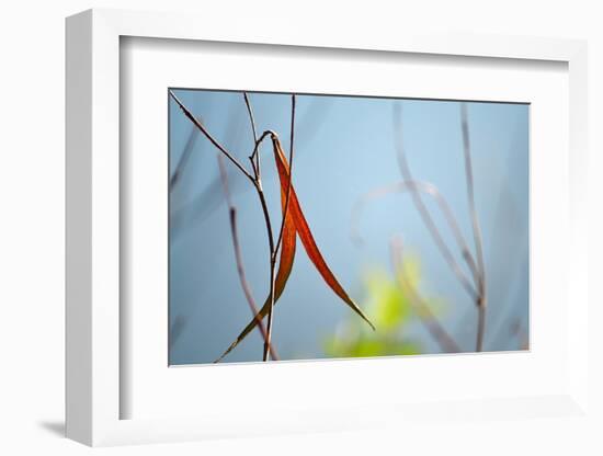 Red and Green by the River-Ulpi Gonzalez-Framed Photographic Print
