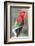 Red-And-Green Macaw (Ara Chloropterus), Buraco Das Araras, Mato Grosso Do Sul, Brazil-G&M Therin-Weise-Framed Photographic Print