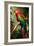 Red and Green Macaw-Vivienne Dupont-Framed Art Print