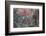 Red-And-Green Macaws (Ara Chloropterus) Perched on a Branch in Buraco Das Araras, Brazil-G&M Therin-Weise-Framed Photographic Print