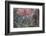 Red-And-Green Macaws (Ara Chloropterus) Perched on a Branch in Buraco Das Araras, Brazil-G&M Therin-Weise-Framed Photographic Print