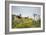 Red-And-Green-Macaws Fly Past the Buraco Das Araras-Alex Saberi-Framed Photographic Print