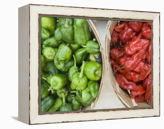 Red and Green Shishito Peppers-Andrea Sperling-Framed Premier Image Canvas