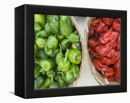 Red and Green Shishito Peppers-Andrea Sperling-Framed Premier Image Canvas