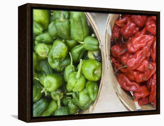 Red and Green Shishito Peppers-Andrea Sperling-Framed Premier Image Canvas