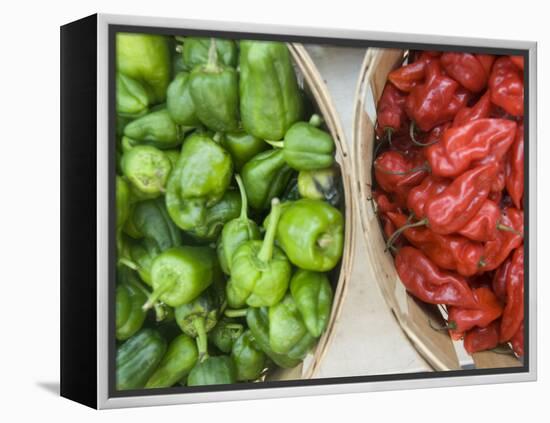 Red and Green Shishito Peppers-Andrea Sperling-Framed Premier Image Canvas