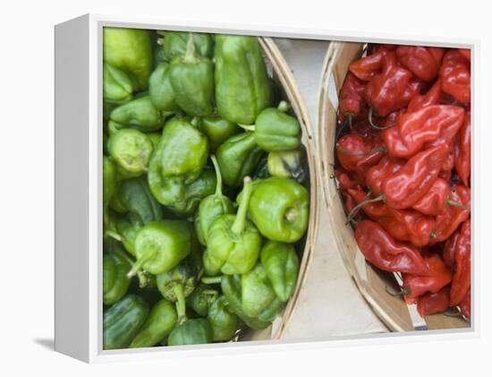 Red and Green Shishito Peppers-Andrea Sperling-Framed Premier Image Canvas