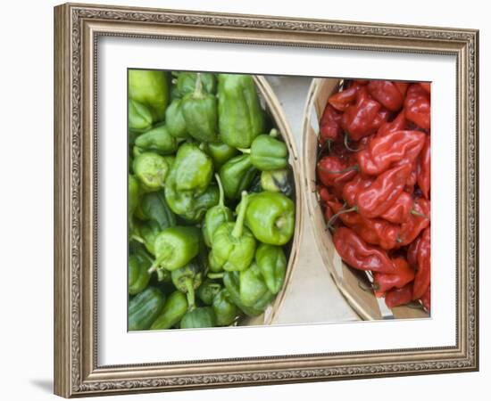 Red and Green Shishito Peppers-Andrea Sperling-Framed Photographic Print