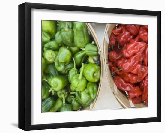 Red and Green Shishito Peppers-Andrea Sperling-Framed Photographic Print