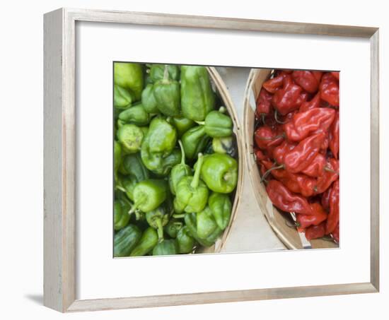 Red and Green Shishito Peppers-Andrea Sperling-Framed Photographic Print