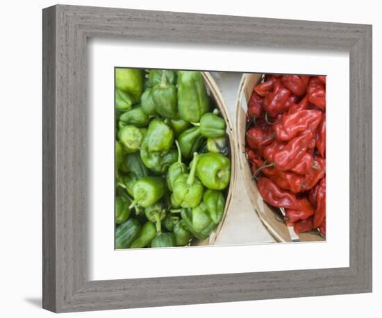 Red and Green Shishito Peppers-Andrea Sperling-Framed Photographic Print