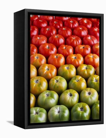 Red and Green Tomatoes-Tracey Thompson-Framed Premier Image Canvas