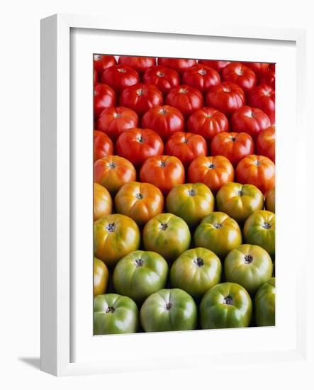 Red and Green Tomatoes-Tracey Thompson-Framed Photographic Print