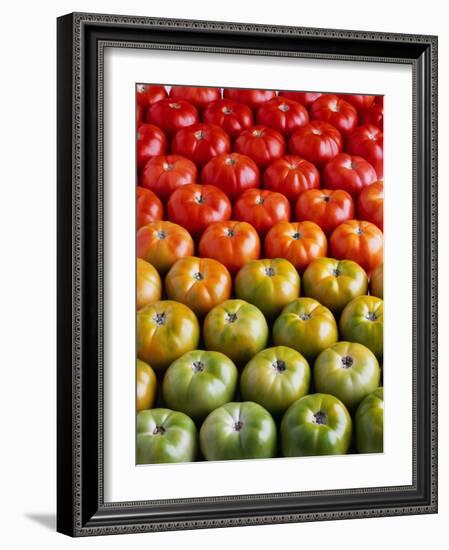 Red and Green Tomatoes-Tracey Thompson-Framed Photographic Print