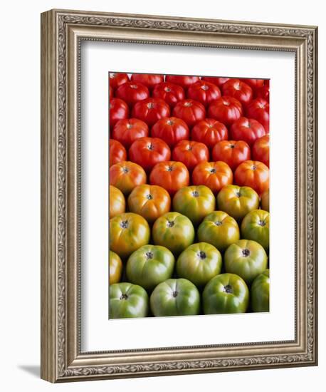 Red and Green Tomatoes-Tracey Thompson-Framed Photographic Print