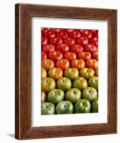 Red and Green Tomatoes-Tracey Thompson-Framed Photographic Print