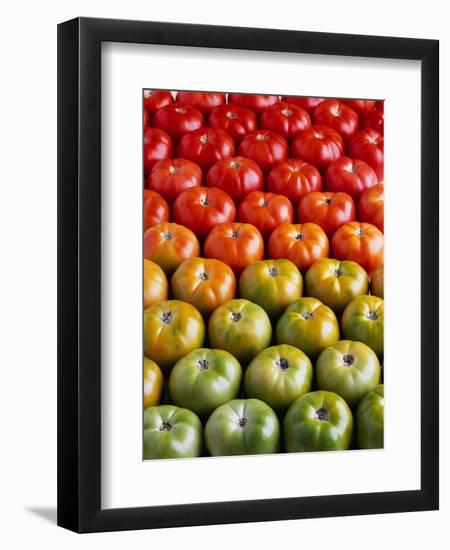 Red and Green Tomatoes-Tracey Thompson-Framed Photographic Print